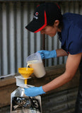 Perfect Udder Economy Filler