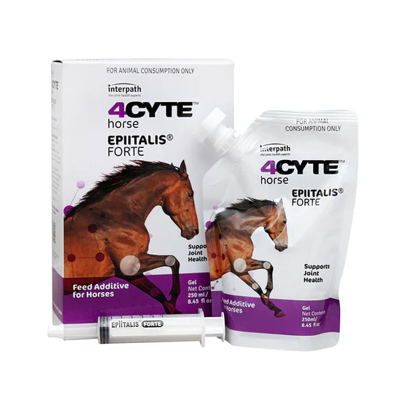 4Cyte Equine Epiitalis Forte Gel