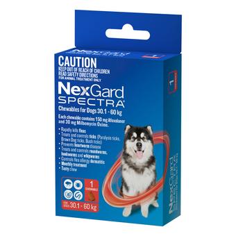 NexGard (10 - 25 kg) 6 PACK – The Vet Group