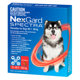 NexGard SPECTRA 30.1kg - 60kg Dog