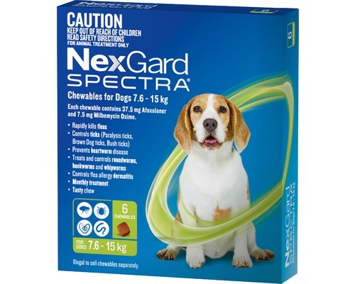 NexGard SPECTRA 7.6-15kg Dog 6 Pack