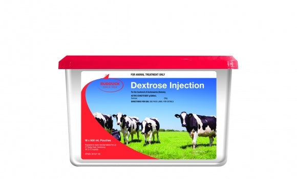 Dextrose 500ml Pouch