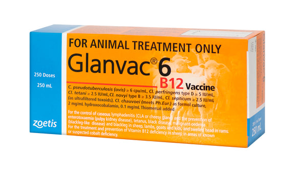 Glanvac 6 B12 250ml