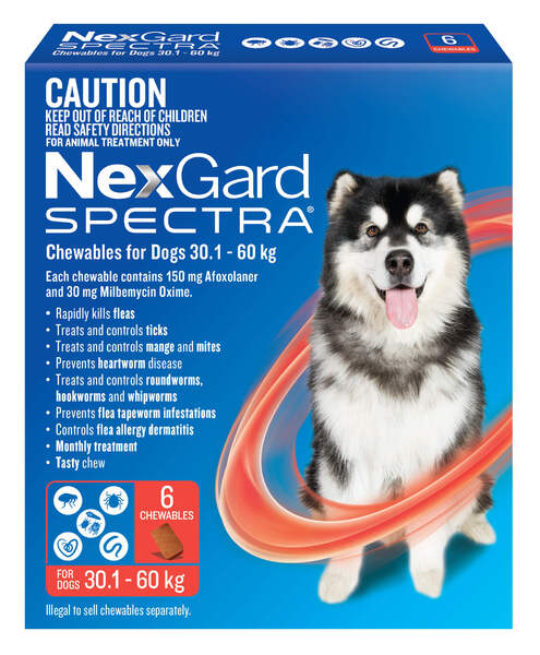 NexGard SPECTRA 30-60kg Dog 6 Pack